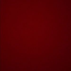 Meet your Posher, Dylan